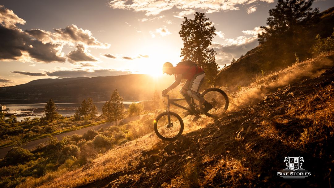 xr:d:DAFrH1o7ch4:81,j:2457120192095614891,t:23102011