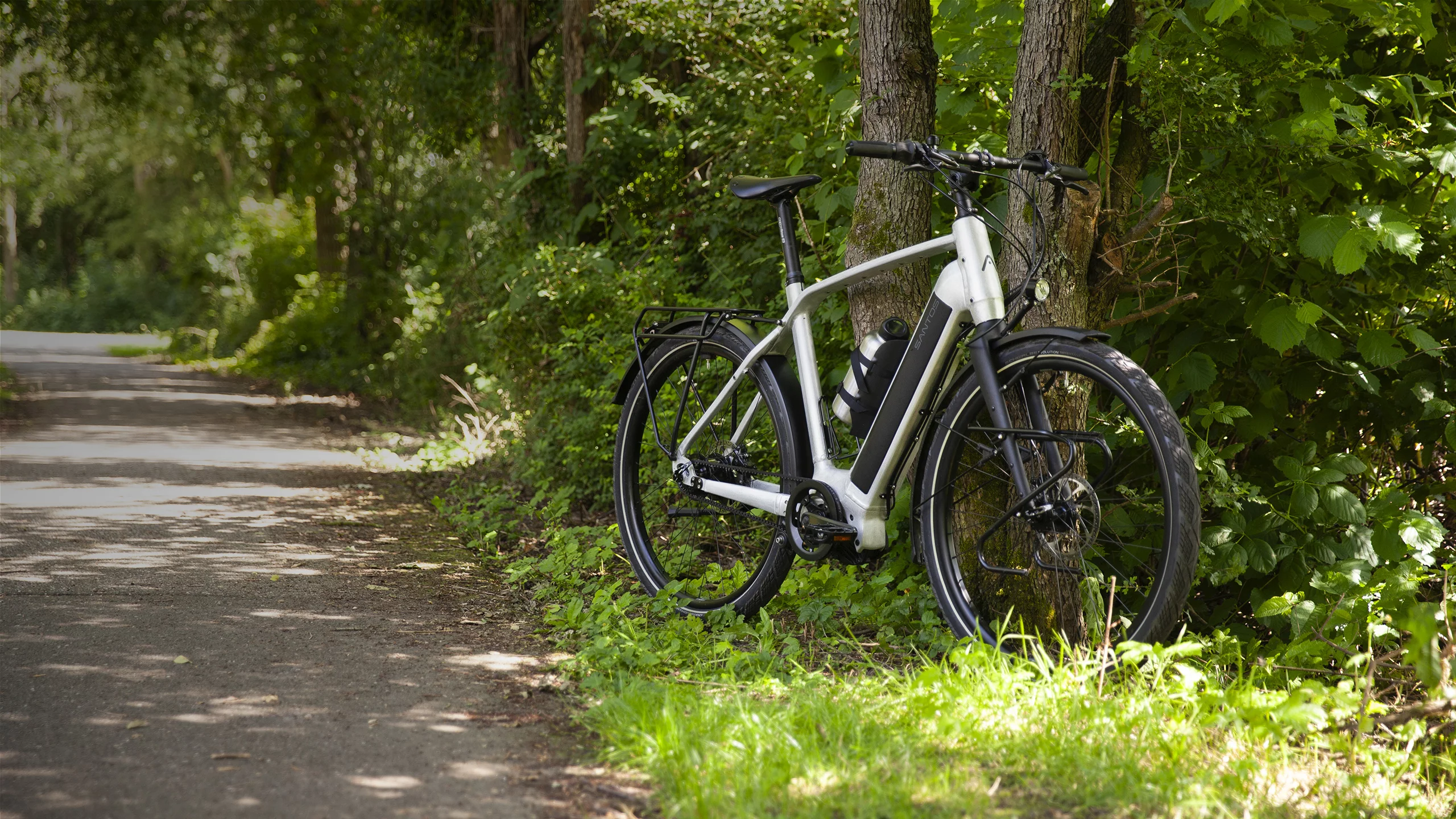 Travelmaster-E-Bosch