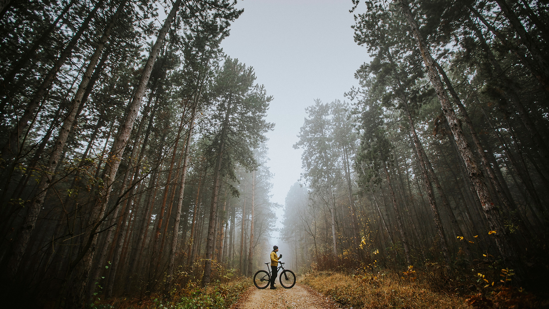 Welke santos kiezen?