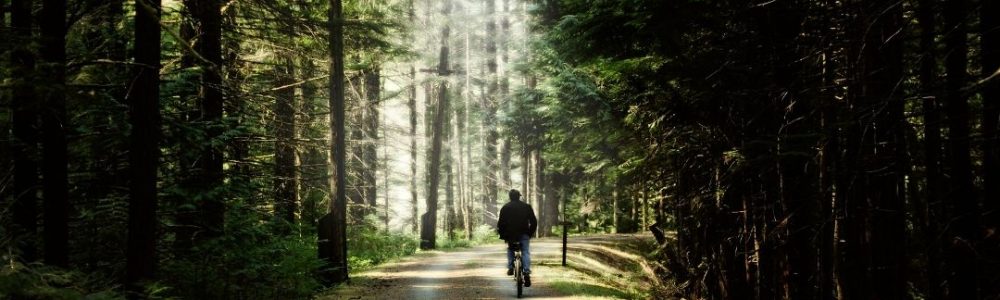 205-Trekking-lite-sturen 205-Trekking-lite-sturen
