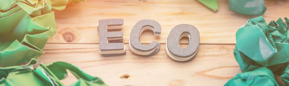 Ecocheque Ecocheque