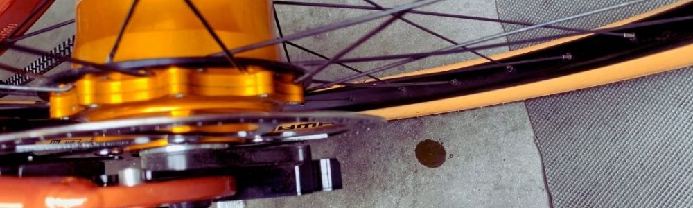 67-Lekkende-Rohloff 67-Lekkende-Rohloff